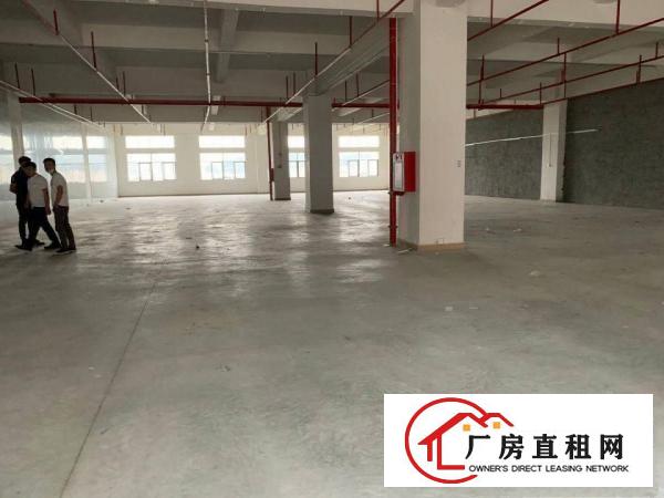  厚街新出原房东1280平带办公室精装修厂房出租