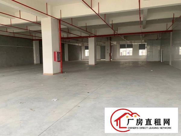  厚街新出原房东1280平带办公室精装修厂房出租