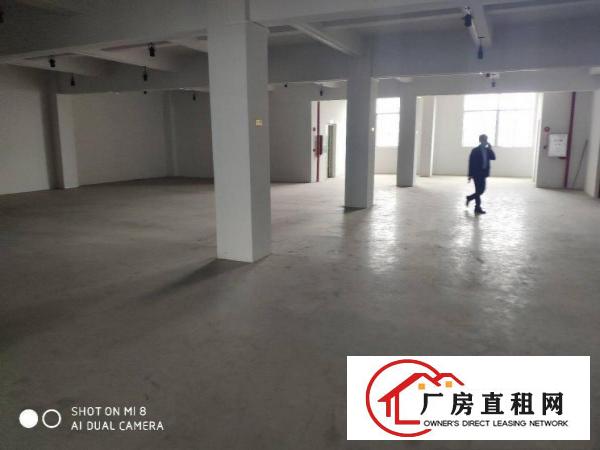  厚街新空出850平方带装修厂房出租仓库出租