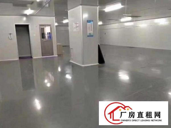 （无尘车间）厚街新出2000方厂房可分租