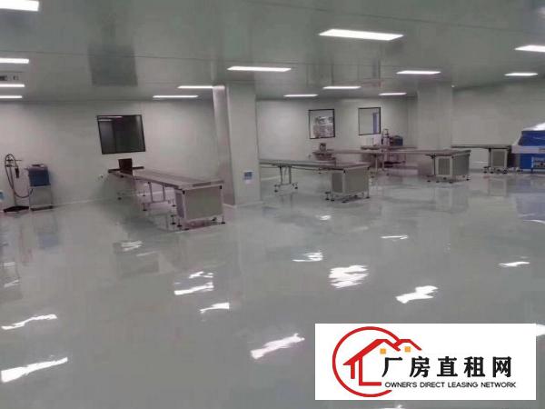  （无尘车间）厚街新出2000方厂房可分租