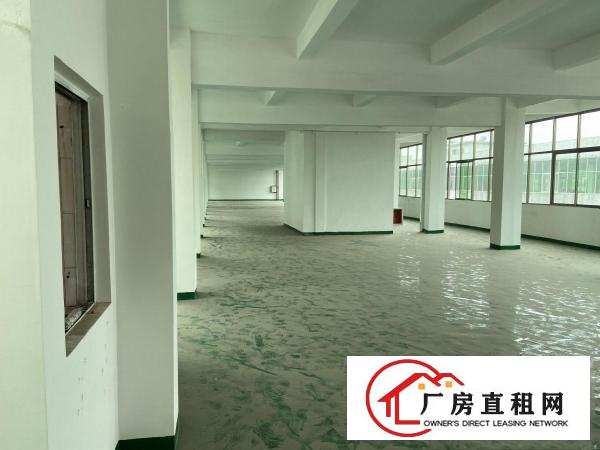  厚街白濠新出楼上800平全新厂房，交通便利，大车好进出