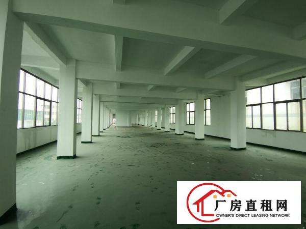  厚街白濠新出楼上800平全新厂房，交通便利，大车好进出