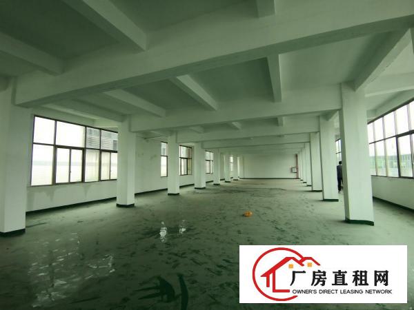  厚街白濠新出楼上800平全新厂房，交通便利，大车好进出