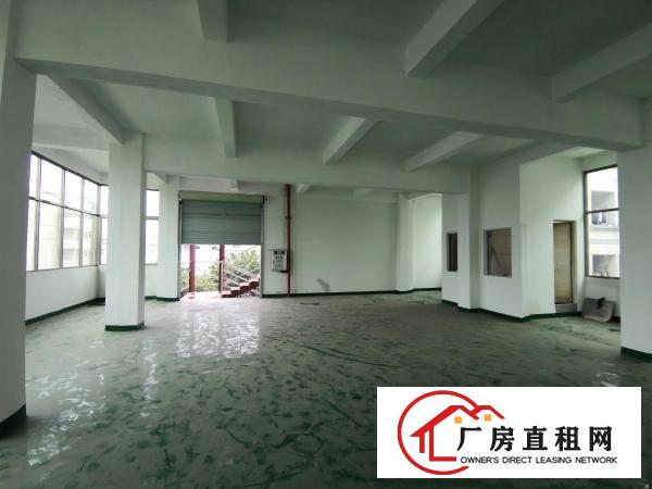  厚街白濠新出楼上800平全新厂房，交通便利，大车好进出