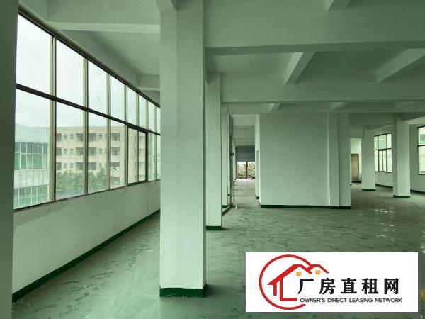  厚街白濠新出楼上800平全新厂房，交通便利，大车好进出