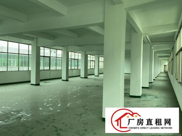  厚街白濠新出楼上800平全新厂房，交通便利，大车好进出