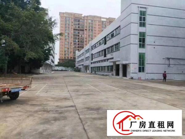  厚街新出3600平方全新地坪漆厂房出租可分租1800平方