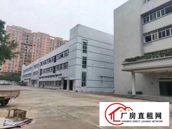  厚街新出3600平方全新地坪漆厂房出租可分租1800平方