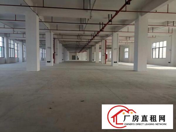  全新标准厂房，每层3000平，形象好，空地大，可分租