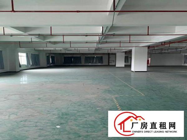  厚街会展中心新出三楼2000平带鞋材环评厂房出租