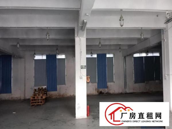  出租厚街陈屋原房东厂房1000平方带现在装修办公室，可分租