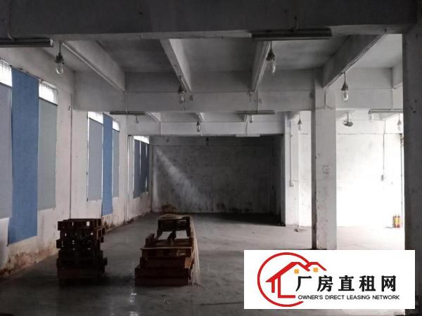  出租厚街陈屋原房东厂房1000平方带现在装修办公室，可分租