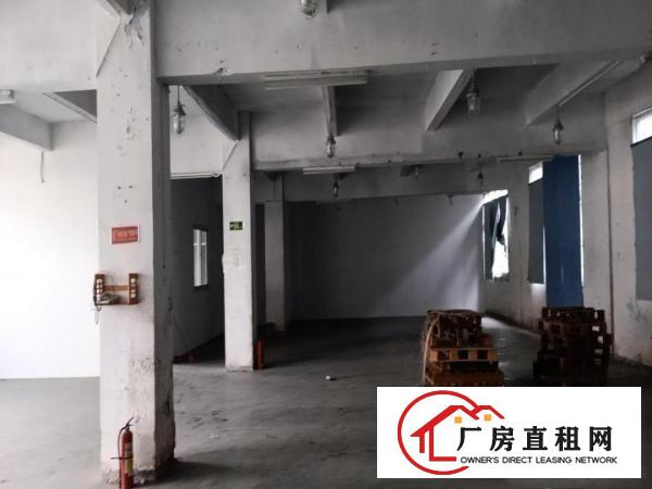  出租厚街陈屋原房东厂房1000平方带现在装修办公室，可分租