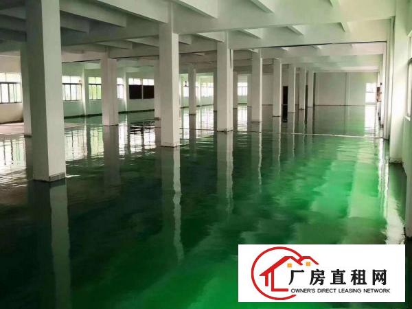  厚街新空出独院11000平方厂房出租仓库出租可办环评
