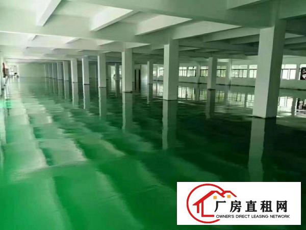  厚街新空出独院11000平方厂房出租仓库出租可办环评
