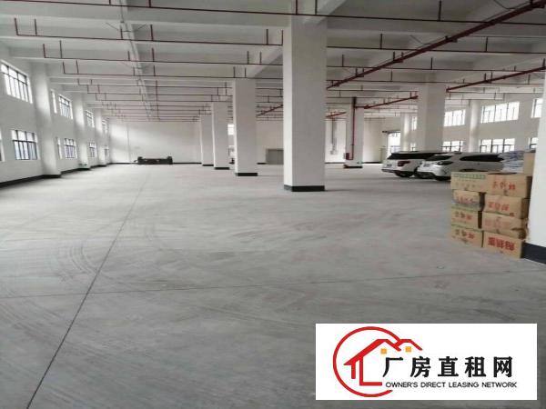  厚街三屯一楼带注塑环评厂房出租1500平米，滴水高7米