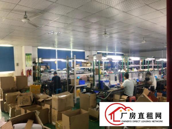  厚街溪头，标准1600方厂房。价格优惠，适合泡沫喷粉