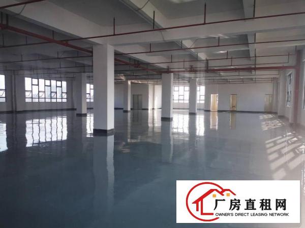  厚街全新厂房单层1380平方带有现成地坪漆消防喷淋低价出租