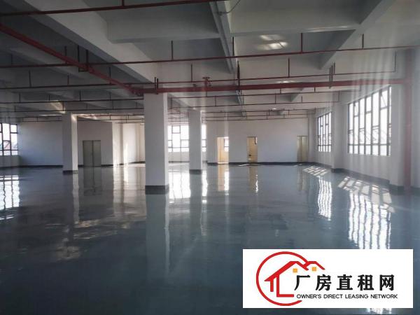  厚街全新厂房单层1380平方带有现成地坪漆消防喷淋低价出租