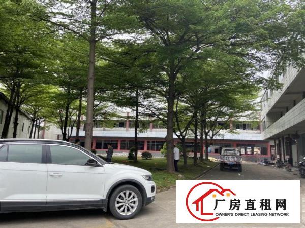  原房东直租精装修1650平方厂房