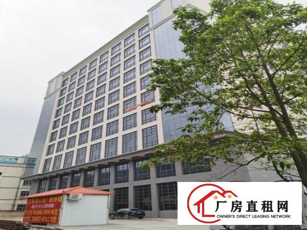  白濠近环莞快速楼上2000平整层出租到虎门长安非常方便