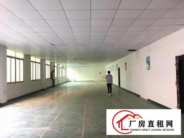 厚街新空出新装修厂房1000方甩租