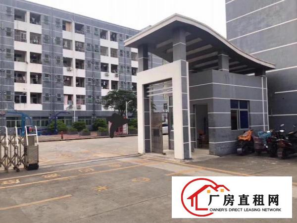  厚街新空出新装修厂房1000方甩租