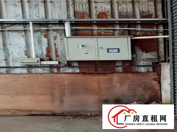  厚大路边单一层1300厂房仓库出租