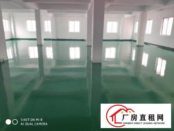  厚街新空出550平方带全新地坪漆厂房出租仓库出租