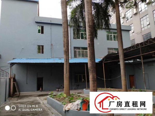  厚街新空出550平方带全新地坪漆厂房出租仓库出租