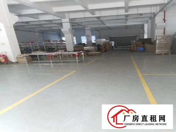  白濠工业区一楼1500平6米高带牛腿厂房出租空地大形象好