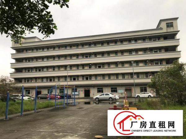  厚街白濠工业区19000方物流仓库招租