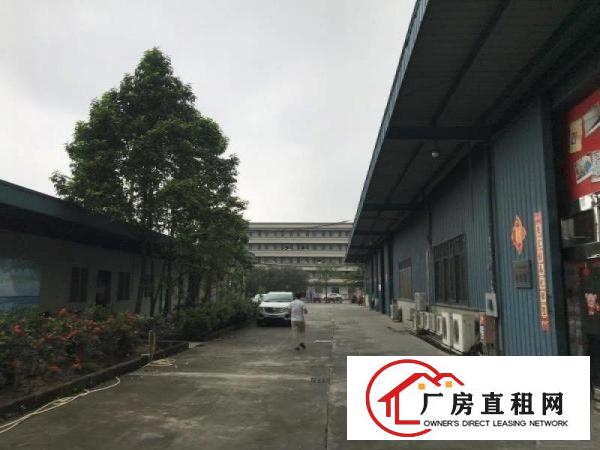  厚街白濠工业区19000方物流仓库招租