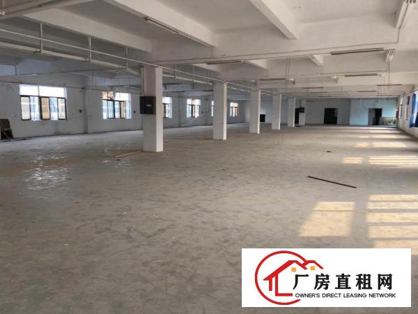  厚街新出1000平方带精装修厂房出租仓库