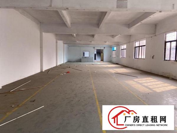  厚街新出1000平方带精装修厂房出租仓库