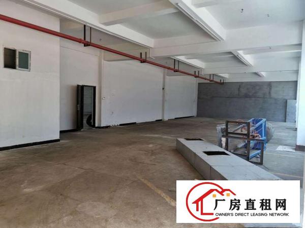  厚街下汴一楼600平方交通便捷办公室装修水电已到车间