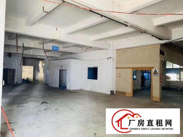  滴水8米钢构厂房！现成消防主线到位超大空地！
