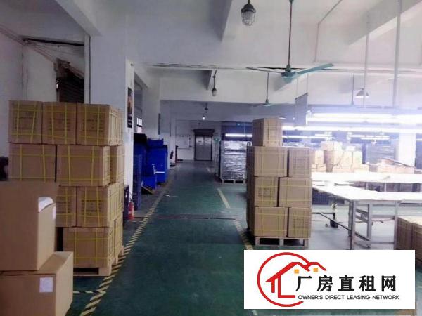  厚街新塘村现成地坪漆厂房2000平方出租带现成办公室洗手间