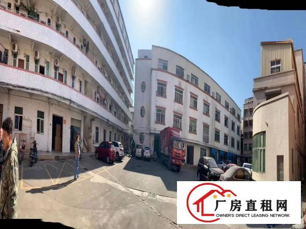  厚街新塘村现成地坪漆厂房2000平方出租带现成办公室洗手间