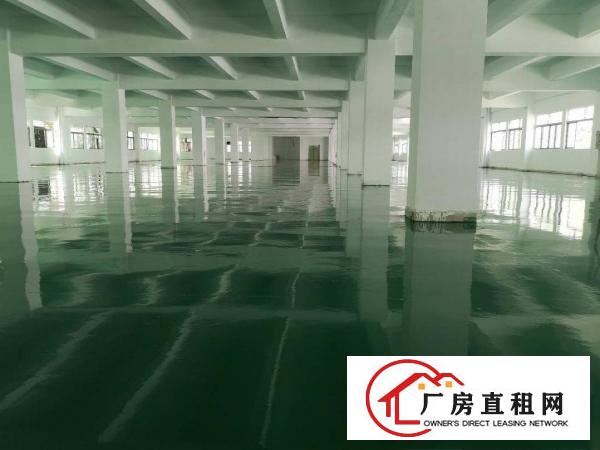  厚街精装修独院3600方厂房仓库可分租