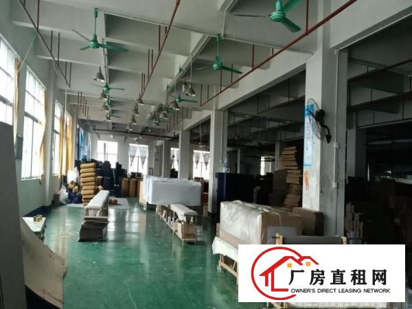  厚街镇双岗原房东厂房3900平方带现成装修地坪漆出租