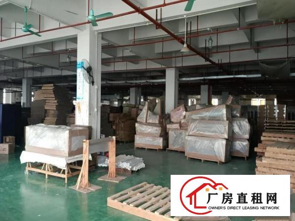  厚街镇双岗原房东厂房3900平方带现成装修地坪漆出租
