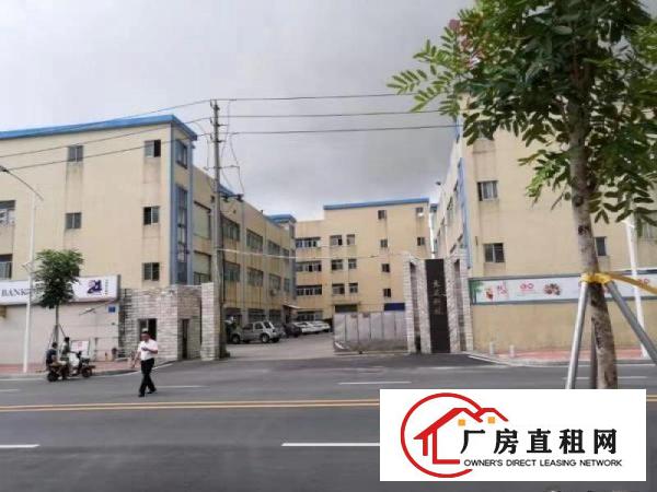  出租珊美管理区精装修厂房1650平方，可分租