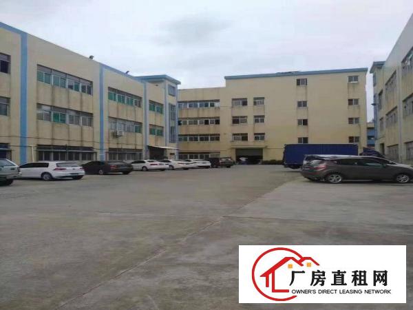  出租珊美管理区精装修厂房1650平方，可分租