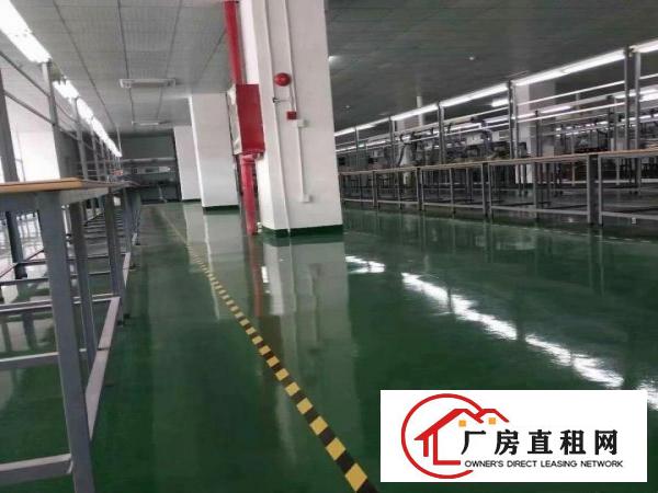  厚街汀山花园独院厂房2500平豪华办公可分租可办环评