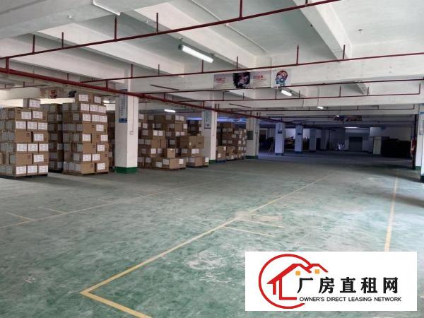  原房东直租精装修1200平厂房