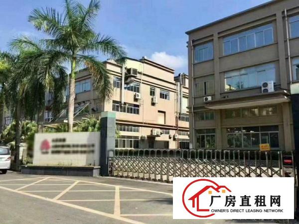  厚街宝屯新出真实存在标准一楼楼上各1500平方，可办环评