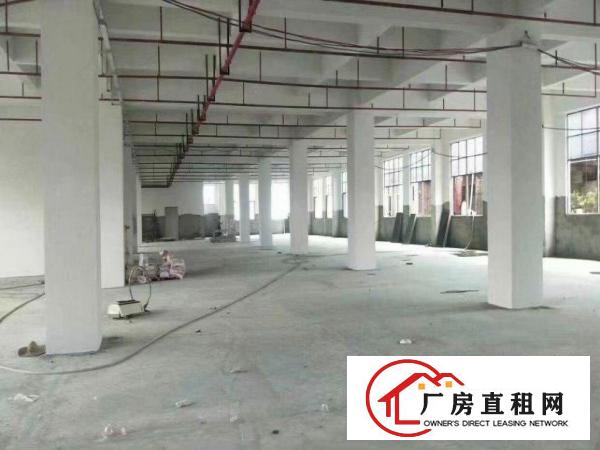  厚街宝屯新出真实存在标准一楼楼上各1500平方，可办环评