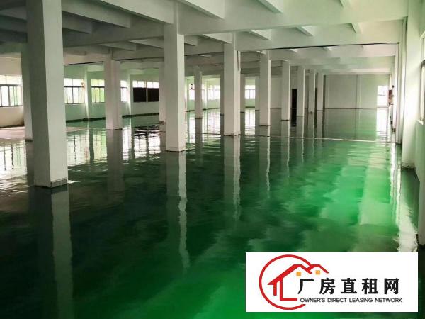  新出10000方独院厂房仓库可分租